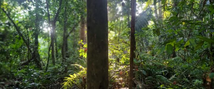 Naturschutz in Bolivien